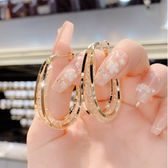 👧Ideales Geschenk💖Modische ovale Ohrringe