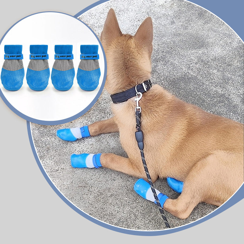 🐾 Schutz & Komfort für Hunde