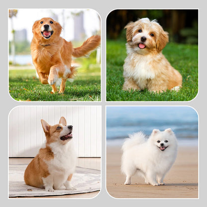 2 Paar rutschfeste, wasserdichte Hundesockenschuhe